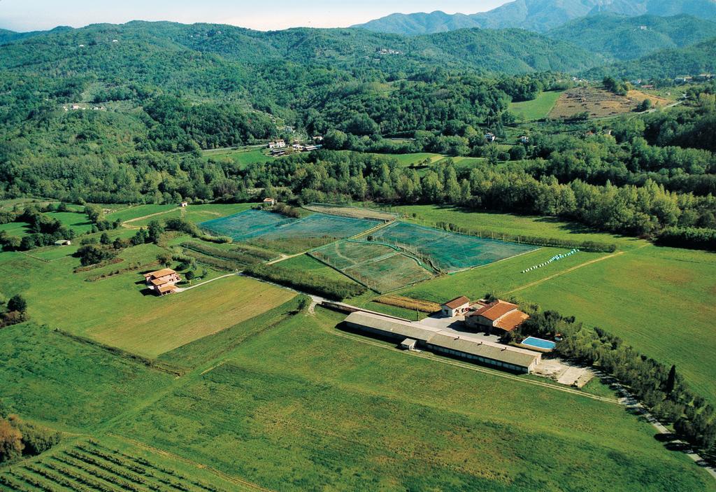 Agriturismo La Praduscella Fivizzano Eksteriør billede